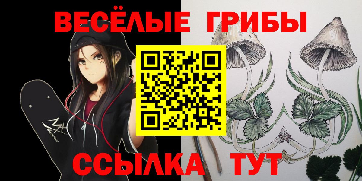 цена   Вход с VPN  Озёрск  Галлюциногенные грибы Magic Shrooms 